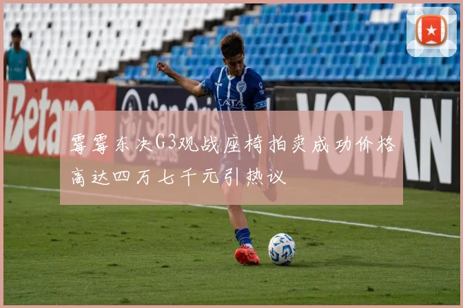 霉霉东决G3观战座椅拍卖成功价格高达四万七千元引热议