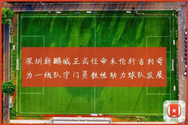 深圳新鹏城正式任命米伦科吉利奇为一线队守门员教练助力球队发展